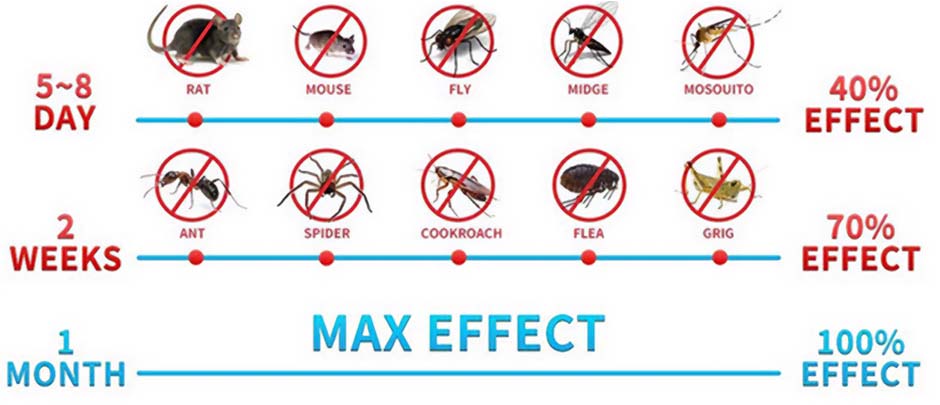 The Pest Defence Timeline