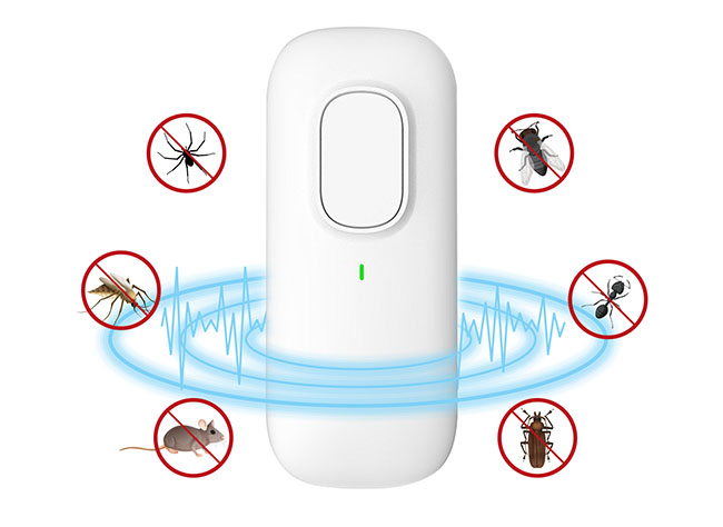 The Pest Defence Pests
